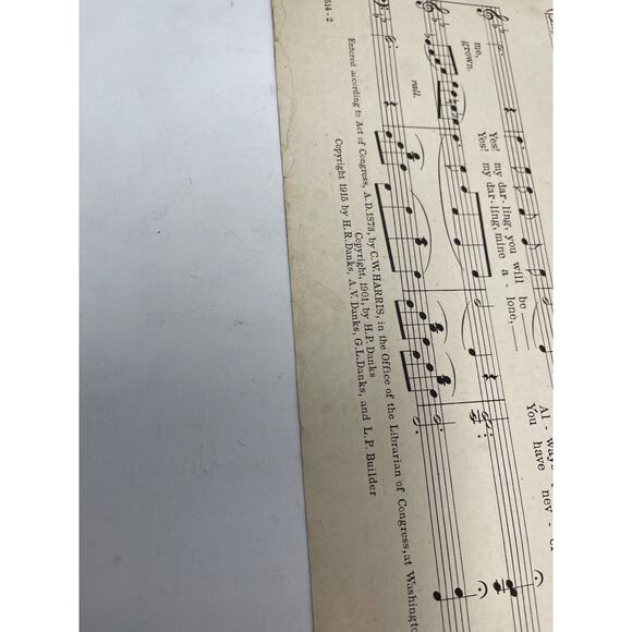 1901 Silver Threads Among The Gold Sheet Music HP Danks Eben Rexford - Picture 4 of 9